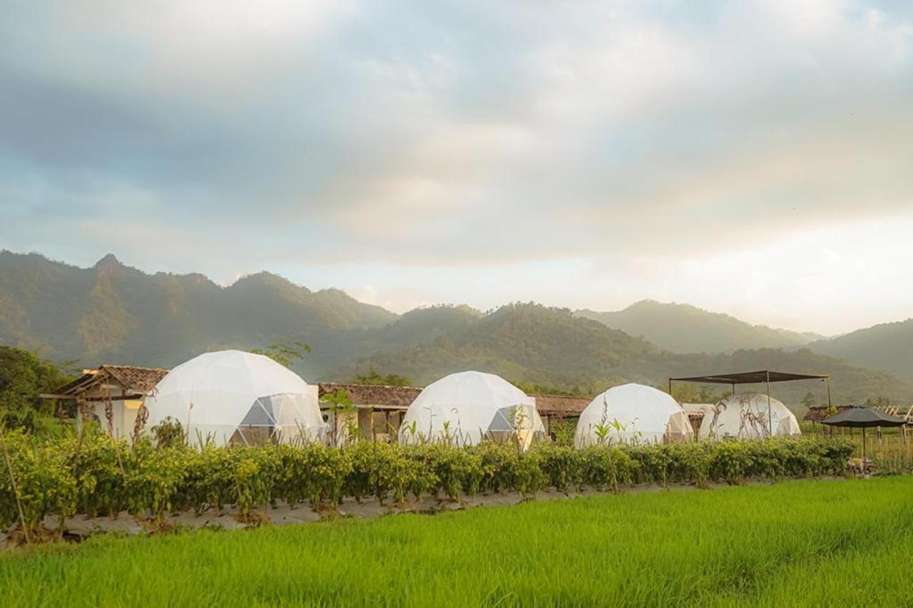 Borobudur Luxury Glamping Magelang Exterior photo