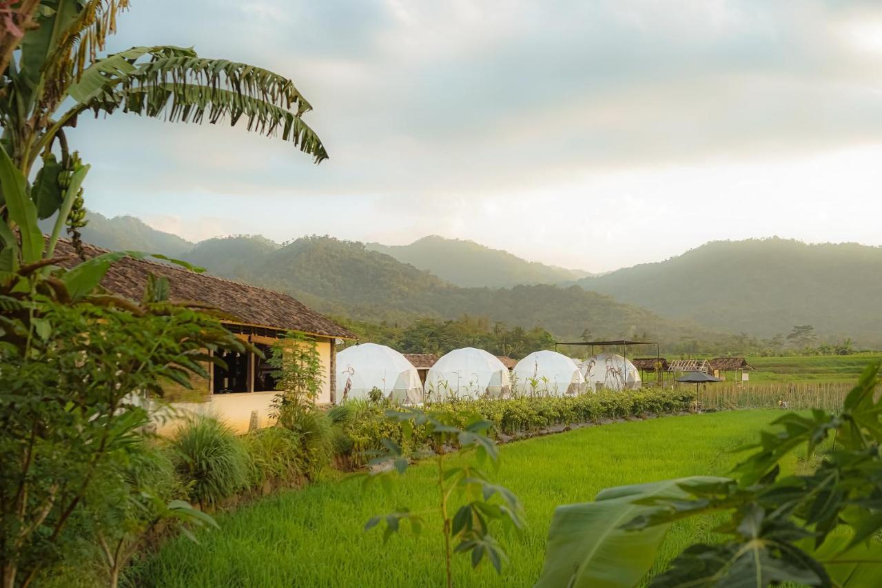 Borobudur Luxury Glamping Magelang Exterior photo